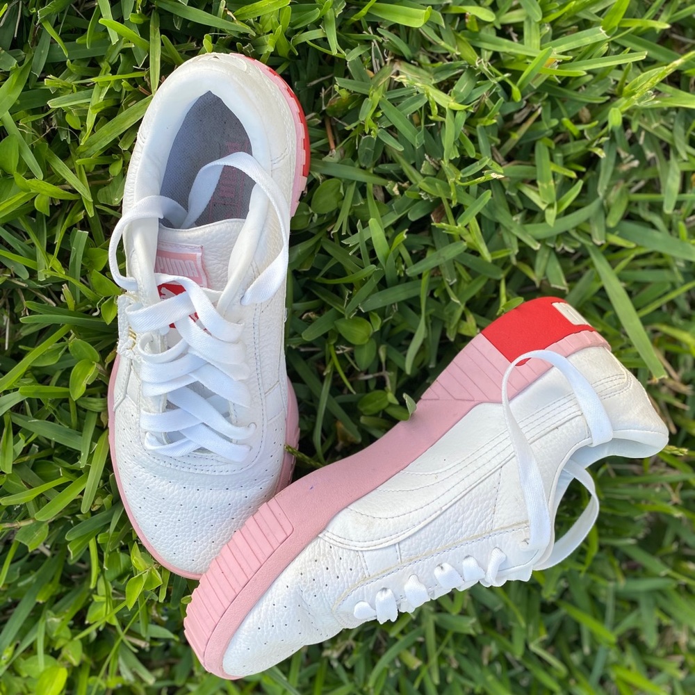 Pumas
